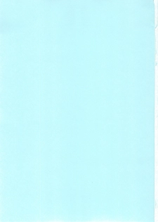 (C77) [r.i.s factory (Ruschuto)] Shin VIP Room!! (DREAM C CLUB) - page 30