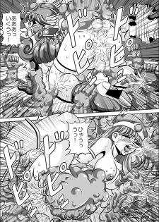 [Pyramid House (Muscleman)] Kutsujoku no Onnasenshi (Dragon Quest III) - page 27
