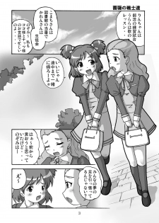 [Group I.N] Bara no senshi-tachi | Fighter of Rose (Yes Precure 5) - page 3