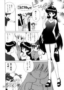 (C54) [BLACK DOG (Kuroinu Juu)] Magician's Red (Bishoujo Senshi Sailor Moon) - page 24
