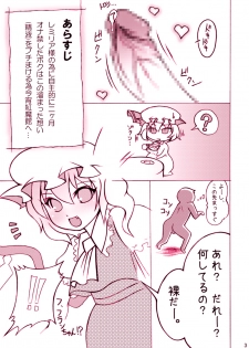 [Noise] Momochichi 2009 Yamete Flan-chan Yamete!! (Touhou Project) - page 3