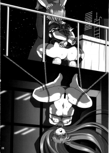 [Thirty Saver Street 2D Shooting (Various )] Second Uchuu Keikaku 4 (Neon Genesis Evangelion) - page 28
