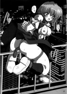 [Thirty Saver Street 2D Shooting (Various )] Second Uchuu Keikaku 4 (Neon Genesis Evangelion) - page 27