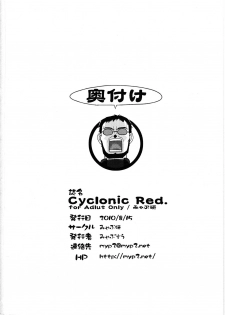 (C78) [Myapuken (Myapuzou)] Cyclonic Red (Neon Genesis Evangelion) - page 30