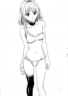 (C73) [Nakayohi (Izurumi)] 2007 Fuyu Comi Omake Bon (Neon Genesis Evangelion) - page 3