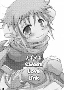 (C71) [EGO DANCE (Nanamatsu Kenji)] Tokimeki Sweet Love Link (Summon Night 2) - page 3