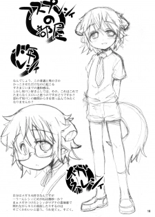 (C74) [EGO DANCE (Nanamatsu Kenji)] Sweet Dreams Forever (Summon Night 2) - page 18