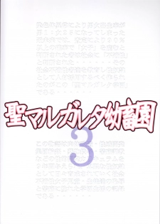 [Algolagnia (Mikoshiro Honnin)] St. Margareta Youchikuen 3 - page 2