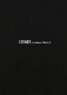 (C71) [Lili Marleen (Kinohara Hikaru)] COSMOS (Mahou Shoujo Lyrical Nanoha) - page 18