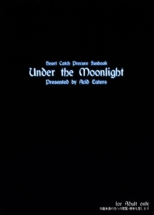 (C79) [ACID EATERS (Kazuma Muramasa)] Under the Moonlight (HeartCatch Precure!) - page 26