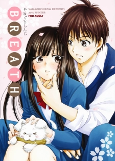 (C79) [Yamaguchirou (Yamaguchi Shinji)] BREATH (Kimi ni Todoke) - page 1