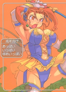 (C69) [Gadoujuku (Kawacchi Hirohiro)] Oppai Ippai Yume Oppai (Dragon Quest VIII) - page 1