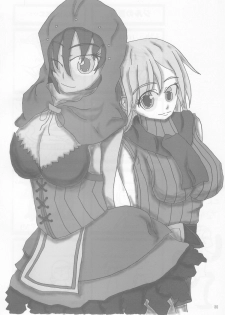 (C79) [Kesshoku Mikan (Anzu, ume)] Stainless Sage (Resident Evil) - page 29
