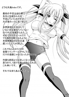 [Rivajima (Yajima Index)] Niiduma Fate (Mahou Shoujo Lyrical Nanoha) [Digital] - page 3