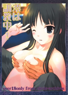 (C79) [Archives (Hechi)] Mio wa Choukyouchuu! (K-ON!) [English] =LWB= - page 1