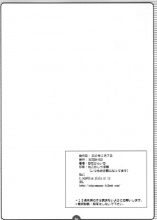 [HATENA-BOX (Oda Ken'ichi)] PRIVATE BEACH (Mahou Shoujo Lyrical Nanoha) - page 25