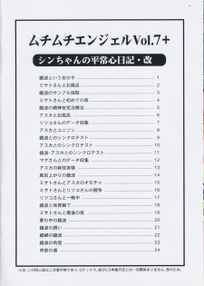 (Puniket 17) [MuchiMuchi7 (Hikami Dan & Terada Tsugeo)] MuchiMuchi Angel Vol.7+ (Neon Genesis Evangelion) - page 2