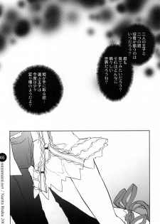 (C76) [Mimimimi (Narita Riuku)] remind DEMONBANE (Demonbane) - page 46