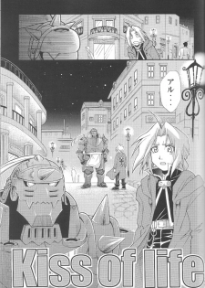 (CT4) [Mulberry (Bakkon Tamago, Maririn Anaka)] Cats on Maes 2 (Fullmetal Alchemist) - page 9