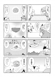 (C79) [Albatross (Nikusyo, Mei)] EroMys +3 (Touhou Project) - page 25