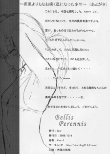 (SC41) [Cior (ken-1)] Bellis Perennis (Hayate no Gotoku!) - page 17