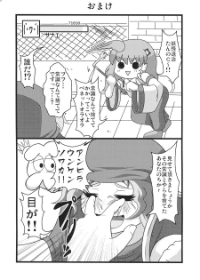 (C79) [Zenra Yashiki (Zenra)] Touhou Ishu Kan (Touhou Project) - page 17