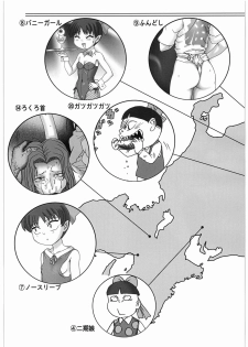 [Nipopo Crisis (Genka Ichien)] Neko Musume Nandemo Ikkaa - page 12