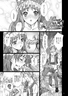[STUDIO PAL (Nanno Koto)] Himitsu no Shimai (Atelier Totori) [Digital] - page 15