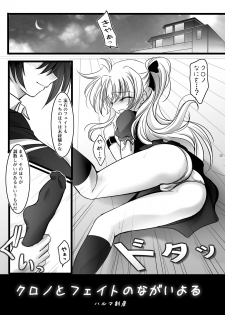 (C77) [Harumankai] Lyrical Shoujo (Mahou Shoujo Lyrical Nanoha) - page 14