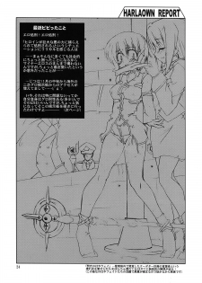 (C73) [WARP LOOP (45ACP)] HARLAOWN REPORT (Mahou Shoujo Lyrical Nanoha) - page 26