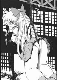 (C55) [Studio Z-AGNAM (Wing Bird)] DOGAKOMUSUME EX BOMBER MOON (Sailor Moon) - page 11