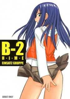 (C67) [EINSATZ GRUPPE (Charlie Nishinaka)] B-2 H-i-M-E (Mai-HiME)