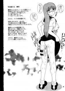 (C52) [Raijinkai (Haruki Genia)] Jintoku No Kenkyuu 5 - page 4