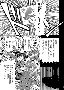 (C79) [Senbon Knock Zadankai (Inaba Fuyuki)] Ore no Imouto ga Ore no Tsubasa da! (Ore no Imouto ga Konna ni Kawaii Wake ga Nai) - page 4
