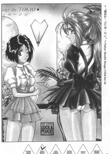 (SC40) [Luck&Pluck!Co. (Amanomiya Haruka)] Shalala (Ah! Megami-sama / Oh! My Goddess!) - page 7