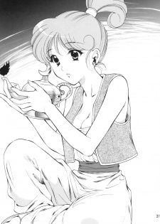 [Houruri] Sekaiju no Kagayaki (Dragon Quest III) [Digital] - page 36