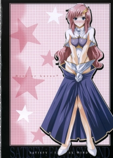 (C68) [FANTASY WIND (Shinano Yura)] satisfy (Gundam SEED DESTINY) [English] [HMedia] - page 17