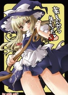 (Reitaisai 5) [Mukidou (Aomi Riru)] Kusuri wo Nondara Haechatta 3 (Touhou Project) - page 1