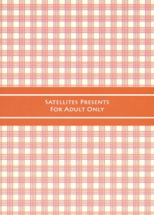 (Reitaisai 8) [Satellites (Satetsu)] Kafun Yuuka Chuuihou (Touhou Project) - page 22