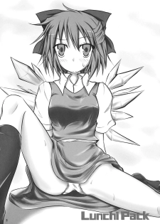 (Reitaisai 8) [Yume no Kage] Lunchi Pack (Touhou Project) - page 3
