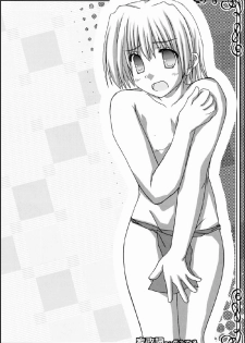 (C75) [Kairaku Shuudan (Katou Kakashi)] Kaseifu-san ga Miteru 2 (Hayate no Gotoku!) - page 9