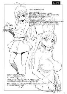(COMIC1☆4) [Higuma-ya (Nora Higuma)] Onna Senshito (Dragon Quest III) - page 24