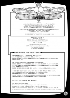 (C73) [Arsenothelus (Rebis)] Manyaita ~Manya Nee-san no Futanari Manaita Show~ (Dragon Quest IV) [Digital] - page 20