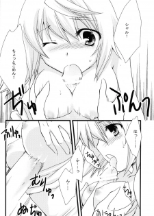 (C79) [CHAGASHI SAIBAN (Yamabuki Mook)] Kigae Chuuihou! (Infinite Stratos) - page 16