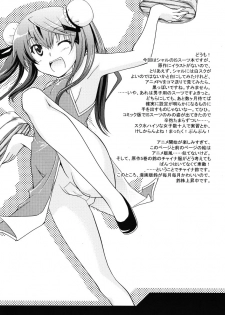 (C79) [CHAGASHI SAIBAN (Yamabuki Mook)] Kigae Chuuihou! (Infinite Stratos) - page 4