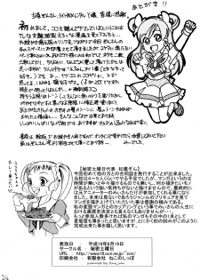 (C72) [Himitsu Doyoubi (Matsutaka Zon, Mii)] PINCH CHANCE (Yes! Precure 5) - page 25