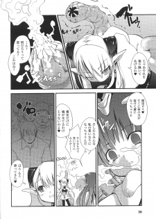 [Nixinamo Lens] [にびなも凸面体] Light Crusader エリカ #1~4 - page 12
