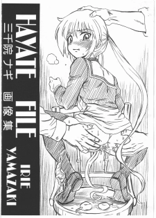 (SC46) [RAT TAIL (IRIE YAMAZAKI)] HAYATE FILE Sanzenin Nagi Gazoushuu (Hayate no Gotoku!) - page 1