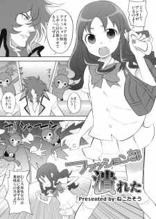 (C78) [NOTONE (fk696＆Nekotasou)] Precure Xros Wars (Heart Catch Precure!) - page 14