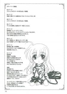 (COMIC1☆2) [PLUM (Kanna)] Mahou Shoujo Magical SEED LOGIC (Mahou Shoujo Lyrical Nanoha) - page 19
